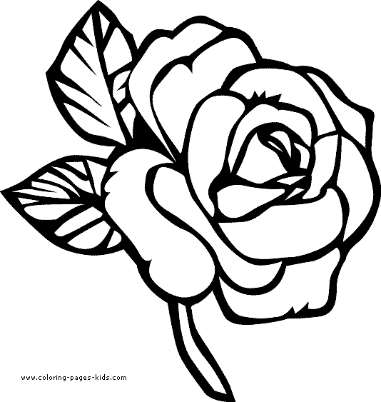 Disegno da colorare: Rose (Natura) #162017 - Pagine da Colorare Stampabili Gratuite