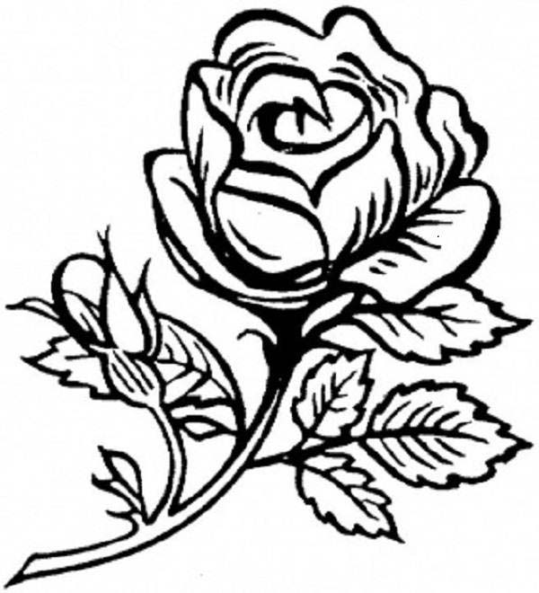 Disegno da colorare: Rose (Natura) #162020 - Pagine da Colorare Stampabili Gratuite