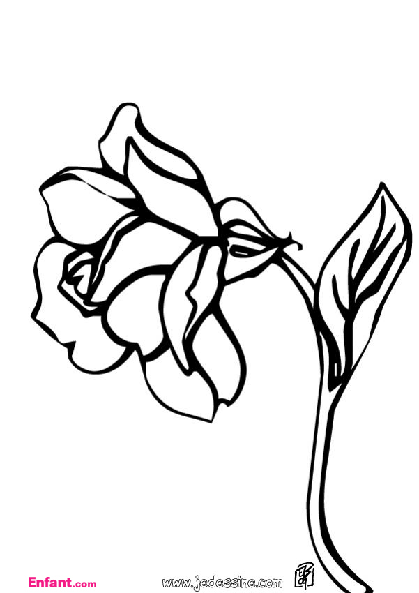 Disegno da colorare: Rose (Natura) #162026 - Pagine da Colorare Stampabili Gratuite
