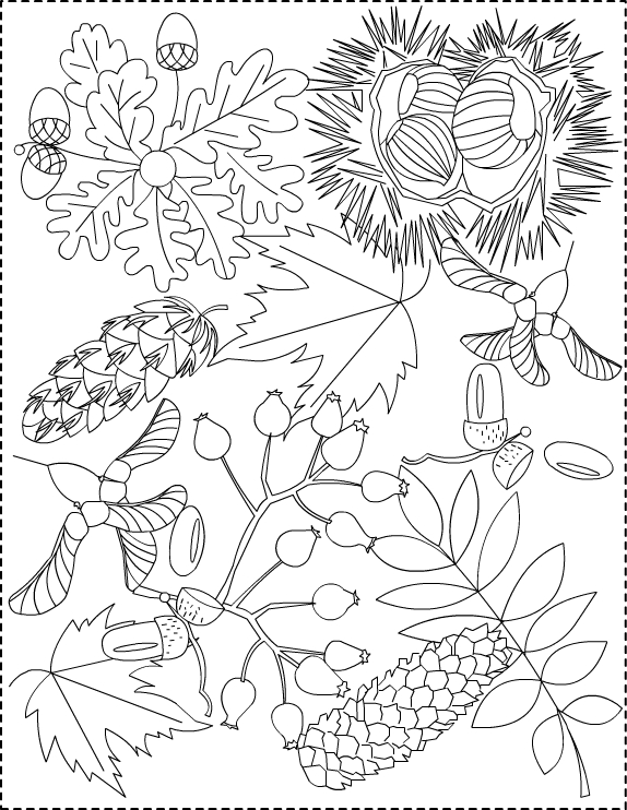 Disegno da colorare: Stagione autunnale (Natura) #164066 - Pagine da Colorare Stampabili Gratuite