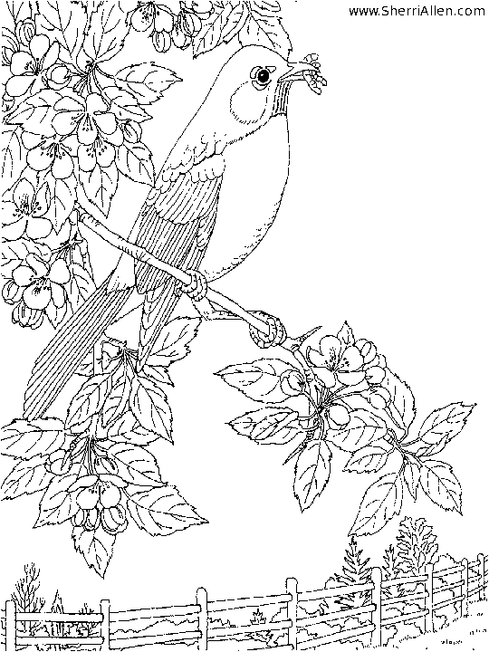 Disegno da colorare: Stagione primaverile (Natura) #164967 - Pagine da Colorare Stampabili Gratuite