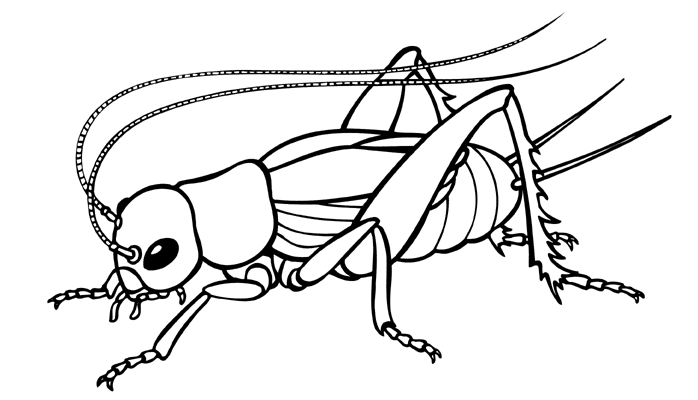 Disegno da colorare: Stagione primaverile (Natura) #165001 - Pagine da Colorare Stampabili Gratuite