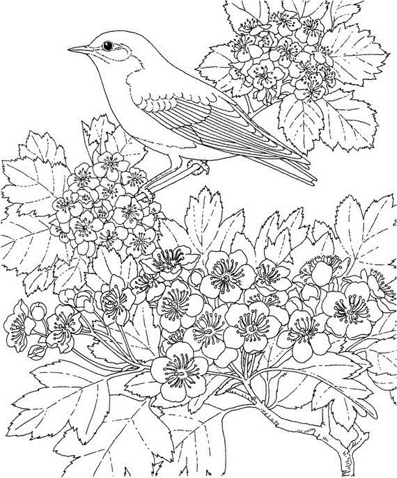 Disegno da colorare: Stagione primaverile (Natura) #165058 - Pagine da Colorare Stampabili Gratuite