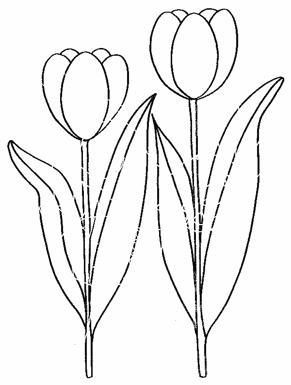 Disegno da colorare: Tulipano (Natura) #161614 - Pagine da Colorare Stampabili Gratuite