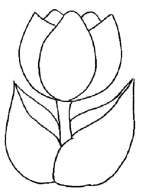 Disegno da colorare: Tulipano (Natura) #161621 - Pagine da Colorare Stampabili Gratuite