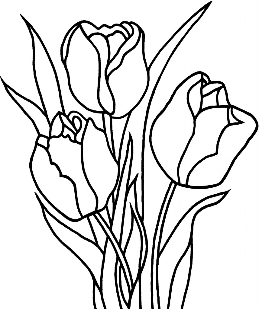Disegno da colorare: Tulipano (Natura) #161634 - Pagine da Colorare Stampabili Gratuite