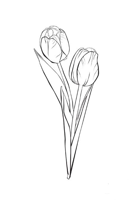 Disegno da colorare: Tulipano (Natura) #161635 - Pagine da Colorare Stampabili Gratuite