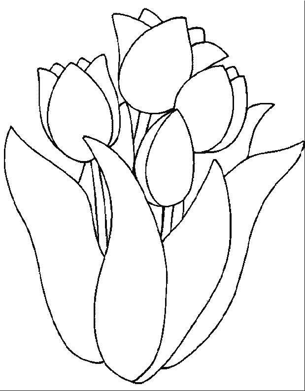 Disegno da colorare: Tulipano (Natura) #161642 - Pagine da Colorare Stampabili Gratuite