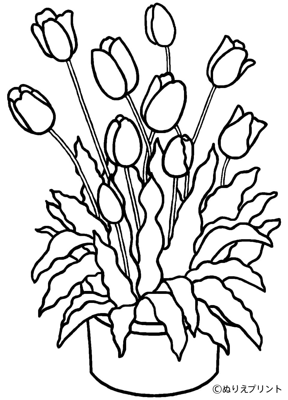 Disegno da colorare: Tulipano (Natura) #161649 - Pagine da Colorare Stampabili Gratuite