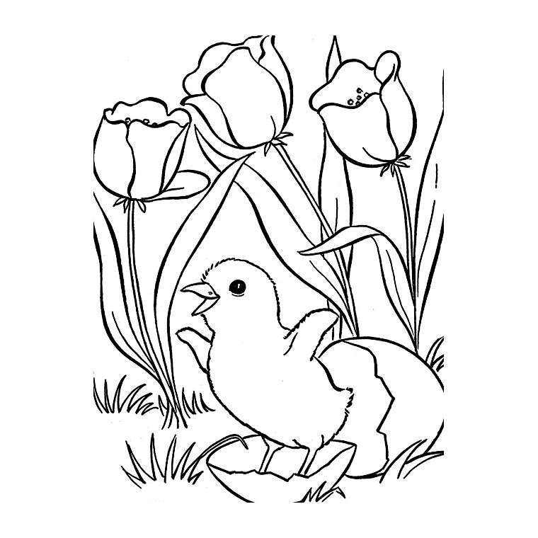 Disegno da colorare: Tulipano (Natura) #161650 - Pagine da Colorare Stampabili Gratuite