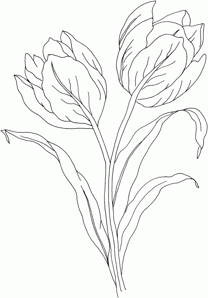 Disegno da colorare: Tulipano (Natura) #161655 - Pagine da Colorare Stampabili Gratuite