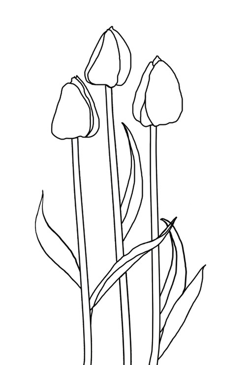 Disegno da colorare: Tulipano (Natura) #161667 - Pagine da Colorare Stampabili Gratuite