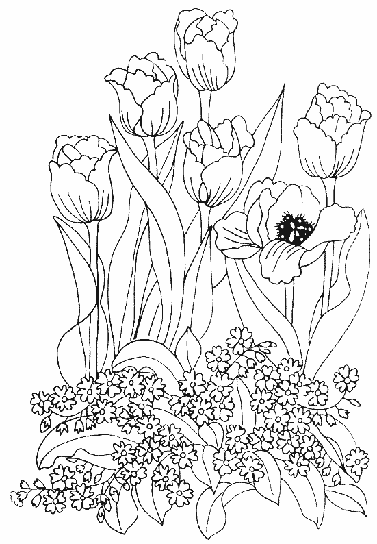 Disegno da colorare: Tulipano (Natura) #161669 - Pagine da Colorare Stampabili Gratuite