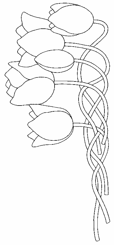 Disegno da colorare: Tulipano (Natura) #161670 - Pagine da Colorare Stampabili Gratuite