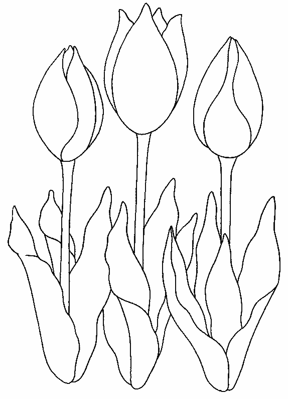 Disegno da colorare: Tulipano (Natura) #161674 - Pagine da Colorare Stampabili Gratuite
