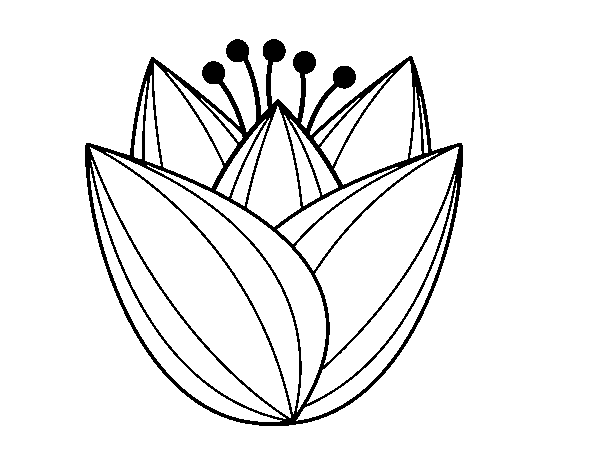 Disegno da colorare: Tulipano (Natura) #161681 - Pagine da Colorare Stampabili Gratuite