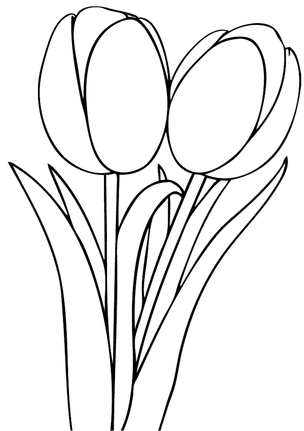 Disegno da colorare: Tulipano (Natura) #161700 - Pagine da Colorare Stampabili Gratuite