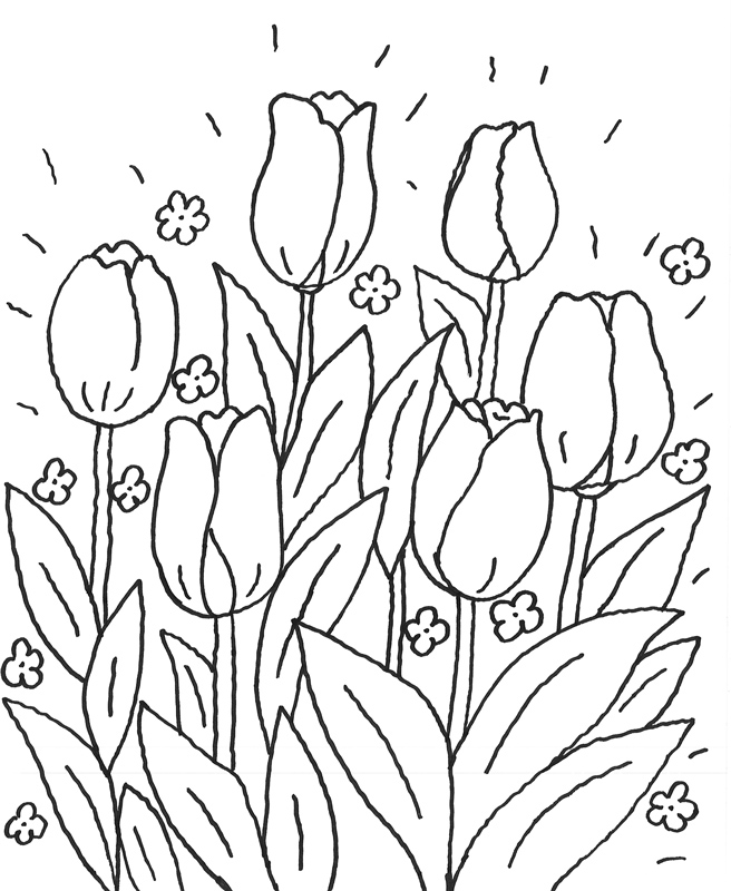 Disegno da colorare: Tulipano (Natura) #161702 - Pagine da Colorare Stampabili Gratuite