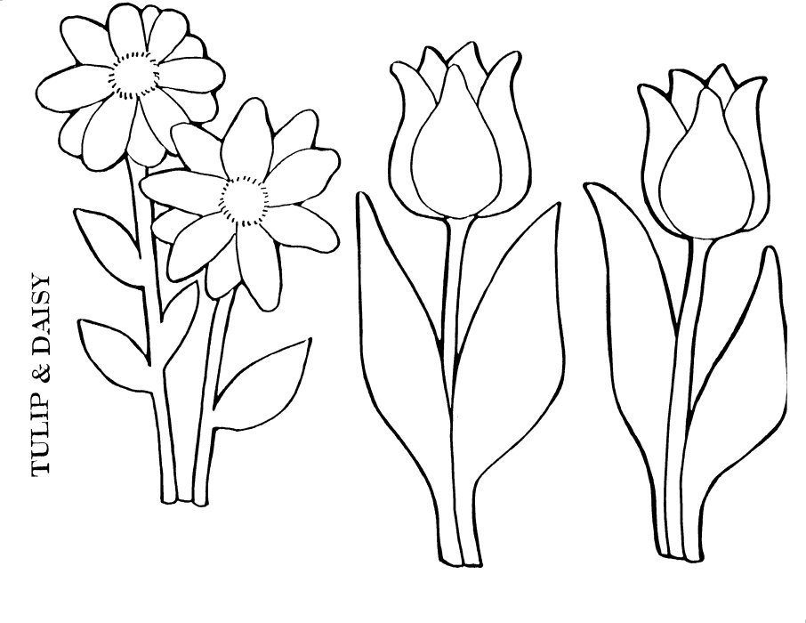 Disegno da colorare: Tulipano (Natura) #161704 - Pagine da Colorare Stampabili Gratuite