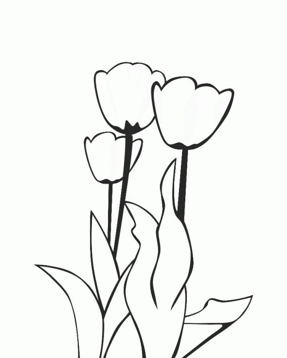 Disegno da colorare: Tulipano (Natura) #161707 - Pagine da Colorare Stampabili Gratuite