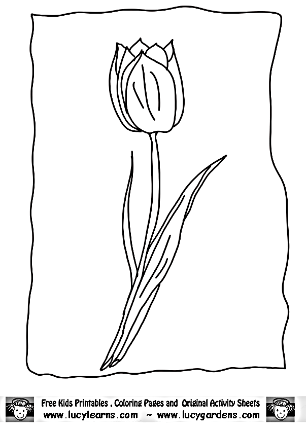 Disegno da colorare: Tulipano (Natura) #161712 - Pagine da Colorare Stampabili Gratuite