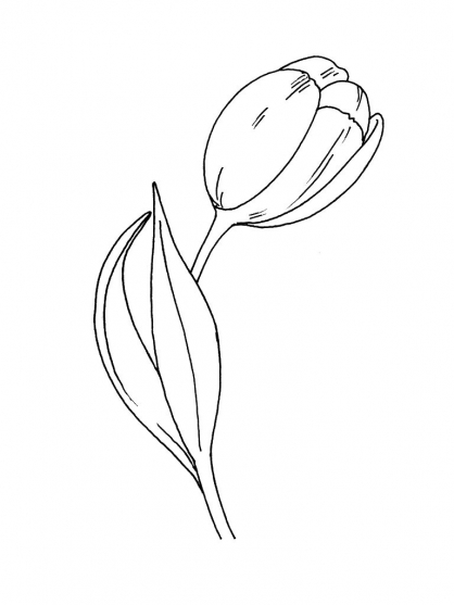 Disegno da colorare: Tulipano (Natura) #161732 - Pagine da Colorare Stampabili Gratuite