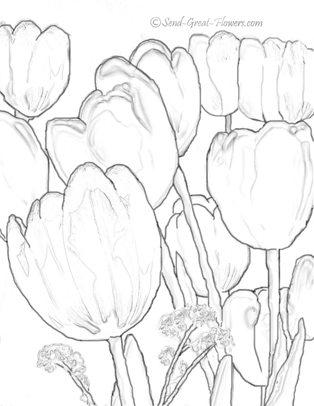 Disegno da colorare: Tulipano (Natura) #161750 - Pagine da Colorare Stampabili Gratuite