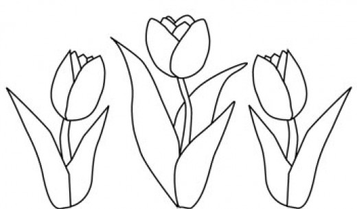 Disegno da colorare: Tulipano (Natura) #161755 - Pagine da Colorare Stampabili Gratuite