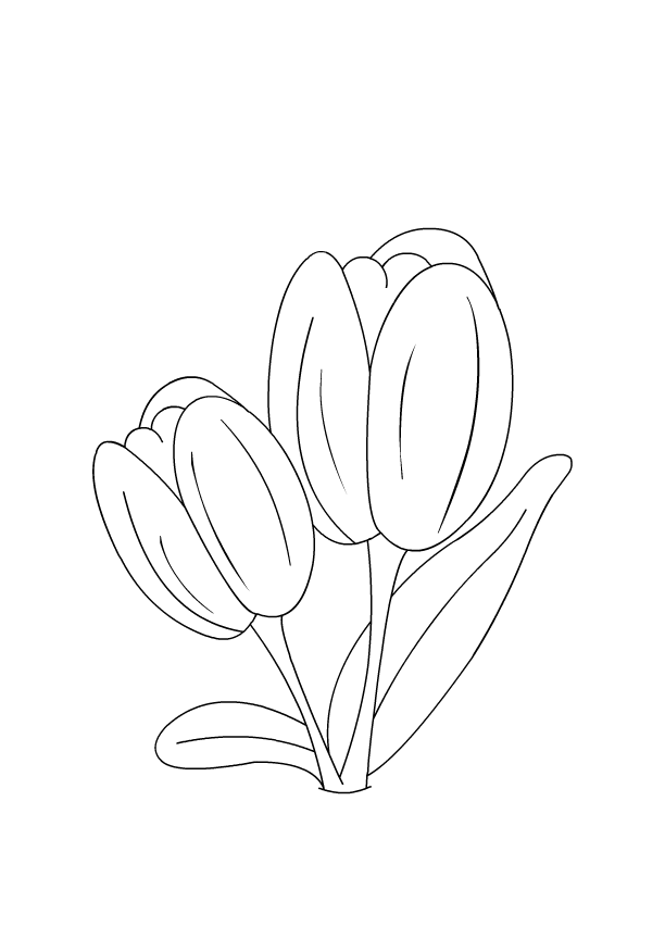 Disegno da colorare: Tulipano (Natura) #161756 - Pagine da Colorare Stampabili Gratuite