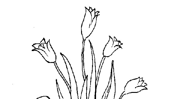 Disegno da colorare: Tulipano (Natura) #161761 - Pagine da Colorare Stampabili Gratuite