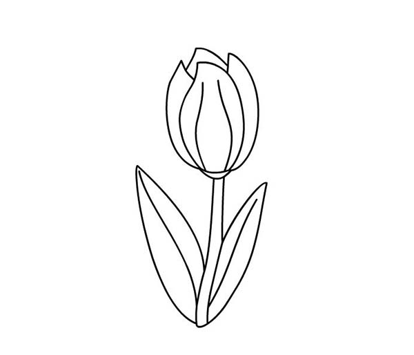 Disegno da colorare: Tulipano (Natura) #161767 - Pagine da Colorare Stampabili Gratuite