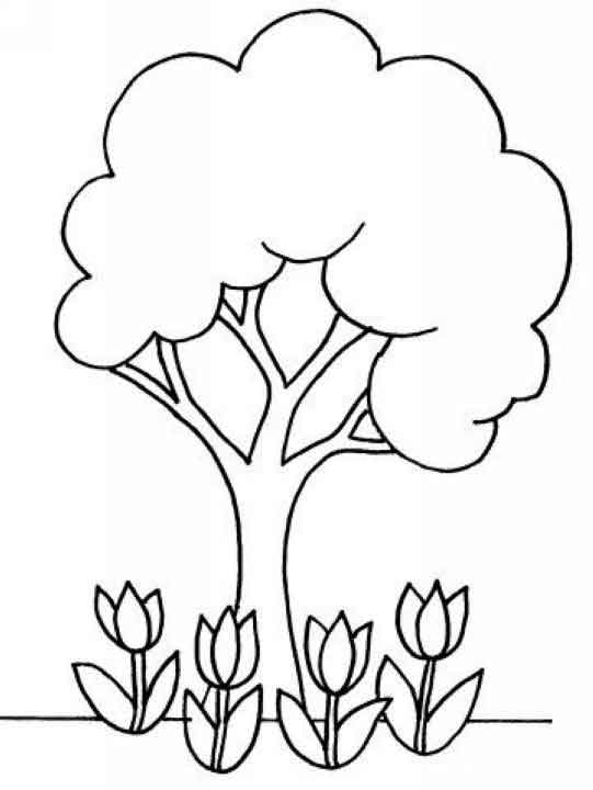Disegno da colorare: Tulipano (Natura) #161772 - Pagine da Colorare Stampabili Gratuite