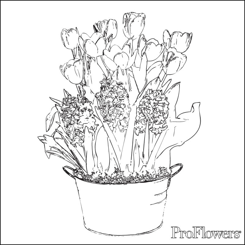 Disegno da colorare: Tulipano (Natura) #161792 - Pagine da Colorare Stampabili Gratuite