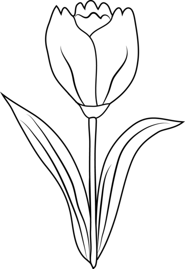 Disegno da colorare: Tulipano (Natura) #161793 - Pagine da Colorare Stampabili Gratuite