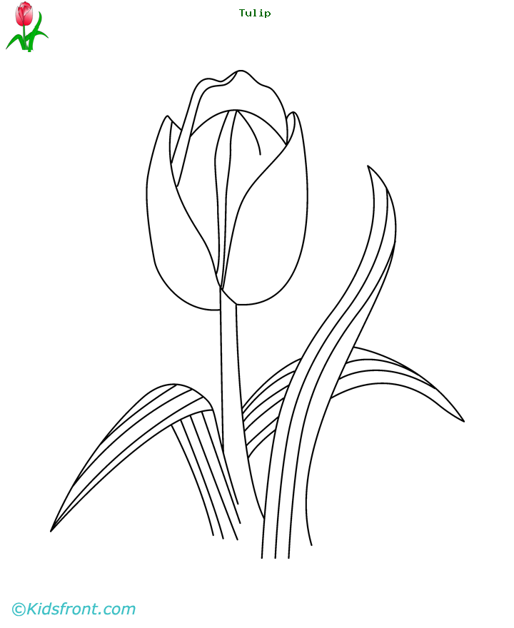 Disegno da colorare: Tulipano (Natura) #161797 - Pagine da Colorare Stampabili Gratuite