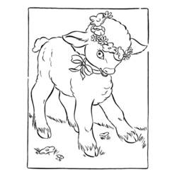 Disegno da colorare: Agnello (Animali) #206 - Pagine da Colorare Stampabili Gratuite