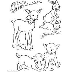 Disegno da colorare: Agnello (Animali) #262 - Pagine da Colorare Stampabili Gratuite