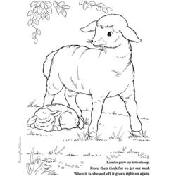 Disegno da colorare: Agnello (Animali) #268 - Pagine da Colorare Stampabili Gratuite
