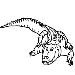 Disegno da colorare: Alligatore (Animali) #380 - Pagine da Colorare Stampabili Gratuite