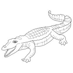 Disegno da colorare: Alligatore (Animali) #429 - Pagine da Colorare Stampabili Gratuite