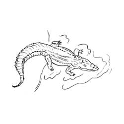 Disegno da colorare: Alligatore (Animali) #431 - Pagine da Colorare Stampabili Gratuite