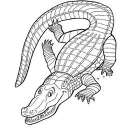 Disegno da colorare: Alligatore (Animali) #434 - Pagine da Colorare Stampabili Gratuite