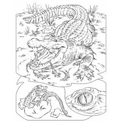 Disegno da colorare: Alligatore (Animali) #443 - Pagine da Colorare Stampabili Gratuite