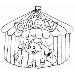 Disegno da colorare: Animali da circo (Animali) #20807 - Pagine da Colorare Stampabili Gratuite