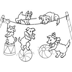 Disegno da colorare: Animali da circo (Animali) #20854 - Pagine da Colorare Stampabili Gratuite