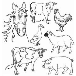 Disegno da colorare: Animali da fattoria (Animali) #21381 - Pagine da Colorare Stampabili Gratuite