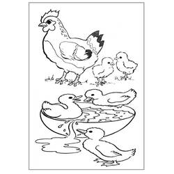 Disegno da colorare: Animali da fattoria (Animali) #21440 - Pagine da Colorare Stampabili Gratuite
