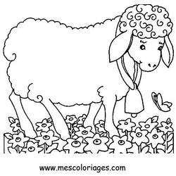 Disegno da colorare: Animali da fattoria (Animali) #21576 - Pagine da Colorare Stampabili Gratuite