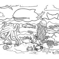 Disegno da colorare: animali marini (Animali) #21989 - Pagine da Colorare Stampabili Gratuite