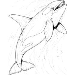 Disegno da colorare: animali marini (Animali) #22102 - Pagine da Colorare Stampabili Gratuite